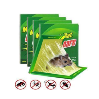 CARTON PEGA RATON (PEQUEÑO-GRANDE)